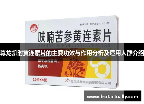 尊龙凯时黄连素片的主要功效与作用分析及适用人群介绍