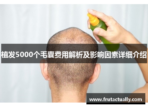 植发5000个毛囊费用解析及影响因素详细介绍